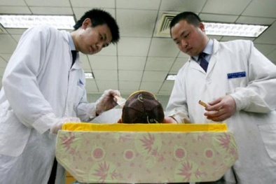 Nghề trang điểm cho...xác chết